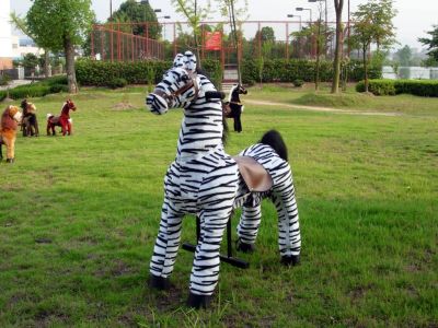 GM415_rolling_horse_-_zebra.jpg